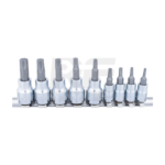Set de dados Torx 1/4" y 3/8" 9pc (S54H5509S)